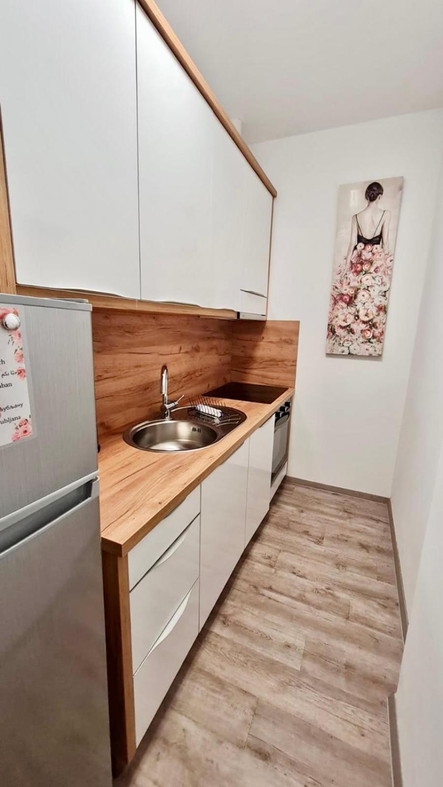 Ljubljana Central Lux Apartment With Free Parking Екстер'єр фото